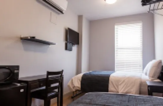 더 파크 애브 노스