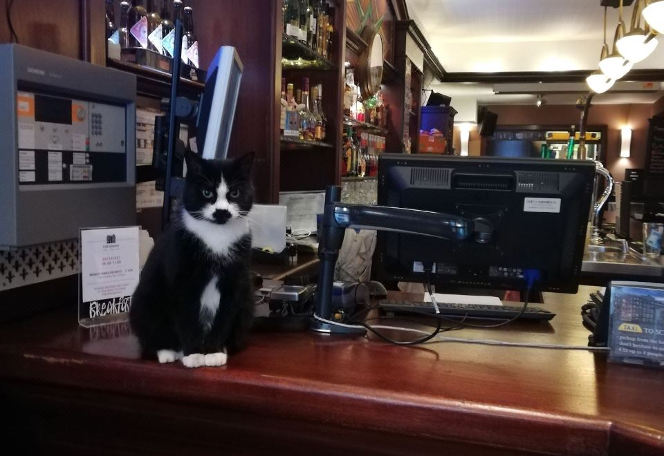 호텔 올드 쿼터 주변 암스테르담 중앙역 거리 전경