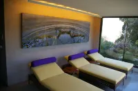 Vik Chile - spa