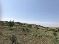 Kublay's Hotels in Gelibolu