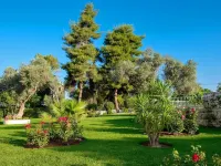 Palmariva Beach Hotel Hotels in Euboea