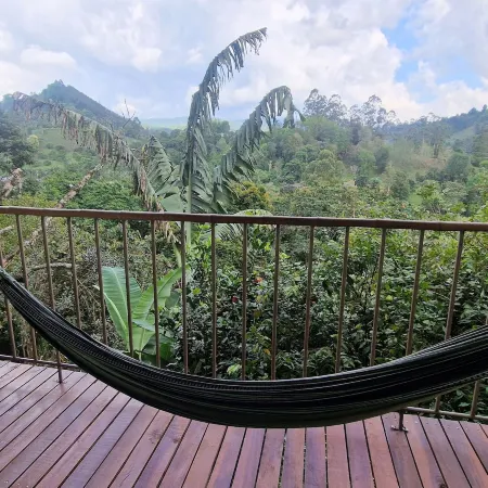 Casa Tien