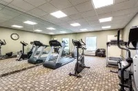 Quality Inn Union City US 51 - Gym