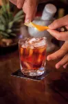 Fleur Lodge - bar