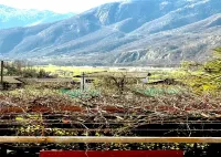 Rest and Restaurant in Roveredo Hotels in Mesocco