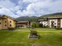Solena