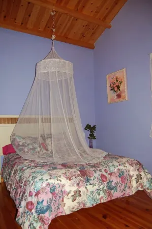 Tranquility and Privacy in Rías Baixas Surrounded by Trees in a Galician Village Отели рядом с достопримечательностью «A Lama»