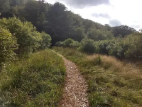 western Catskills YURT Hotels in Livingston Manor
