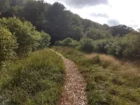western Catskills YURT Hotels in Livingston Manor