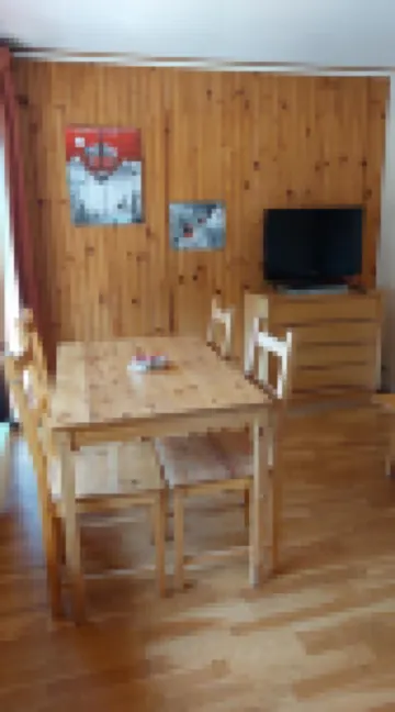 2 Alpes T2 ideal for winter and summer stay