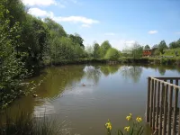 Fully equipped cottage in Mont-Saint-Michel Bay - bucolic setting with games Hotels in Avranches