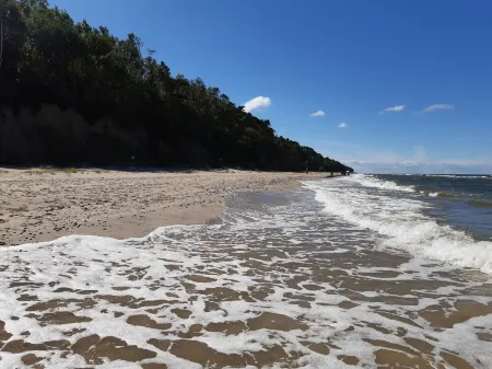 Spacious Apartment, Quiet Location in the Forest, Garden, Barbecue, Bicycles, Dogs Allowed Отели в г. Lukecin