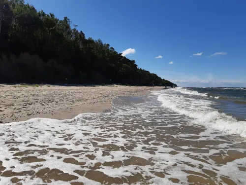 Spacious Apartment, Quiet Location in the Forest, Garden, Barbecue, Bicycles, Dogs Allowed Hotels in Lukecin