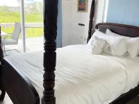 Quaint Cottage On The Beach in the South End Hotels in Elbow Cay