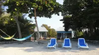 The Dolphin House - A Serenity Beach Cottage Hotels in Utila