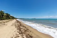 Welcome to Tortuga Tranquila! Your spacious 5-bedroom Beach Villa awaits!