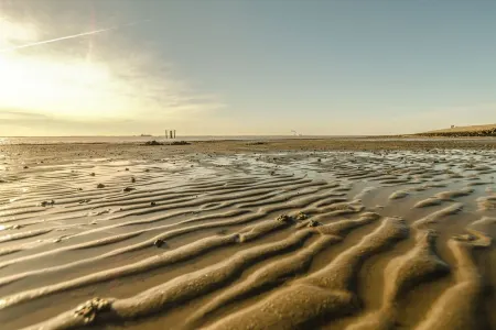 North Sea coast directly on the dike + natural beach