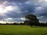 Fully Furnished Two Bedroom Farm House, "The Little House" Has Everything !