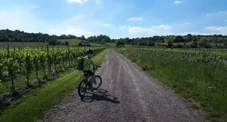 Großzügige Lichtdurchflutete Ferienwohnung mit Viel "weinerleben" Отели в г. Гунтерсблум