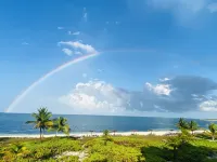 Newly Renovated Penthouse: Peace, Love, and the Beach Await YouBest View NWP Hotels in Wheeland Settlement