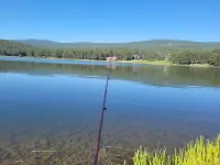 Spacious Angel Fire Cabin Near Skiing, Hiking, and Fishing