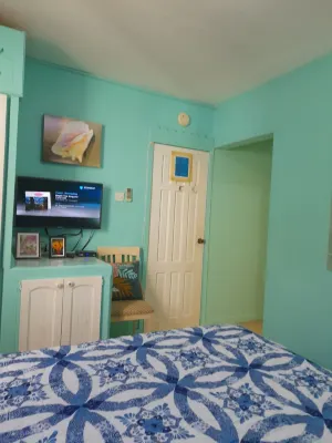 Tropical Blossom Apt. with washer, T.V, a/c,wi-fi Hotels in 