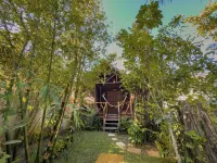 Pousada Castelo Do Vento Hotels in Cruz