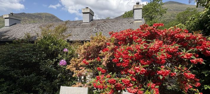Glyn Awel Hotels in Caernarfon