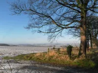 Kitchen Cottage Hotels in Hambleton District