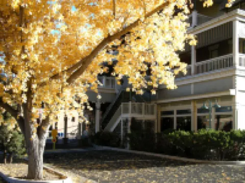 澤內拉帕爾默酒店 杜蘭戈酒店