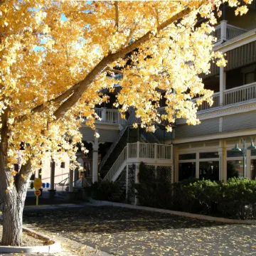 General Palmer Hotel