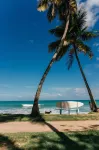 Mosquito Boutique Hotel - Ocean View