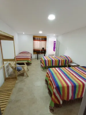 Iguana Coliving
