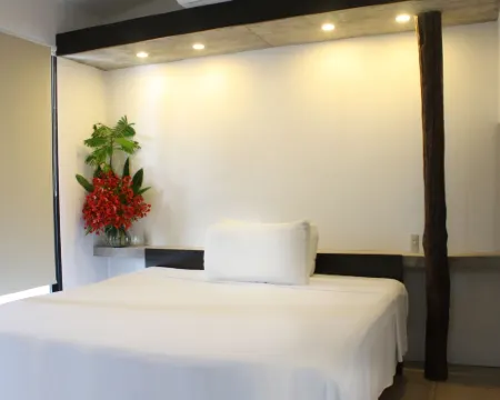 Hotel Maya Rue Hoteles en Palenque