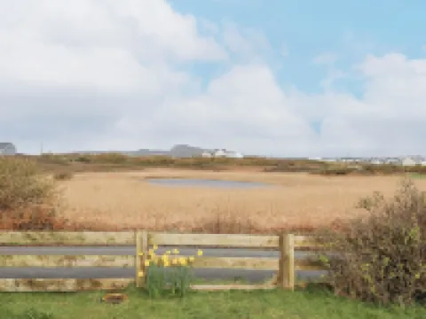 Didaro Hotels in Trearddur