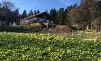 Auberge de Liezey