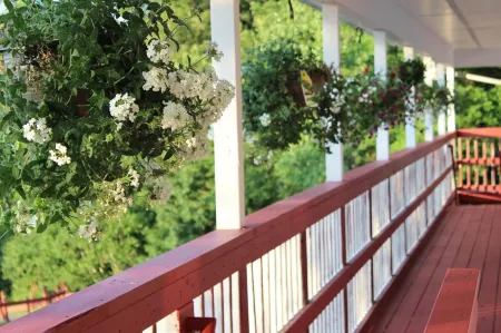 Chatham Travel Lodge Отели в г. Остерлиц