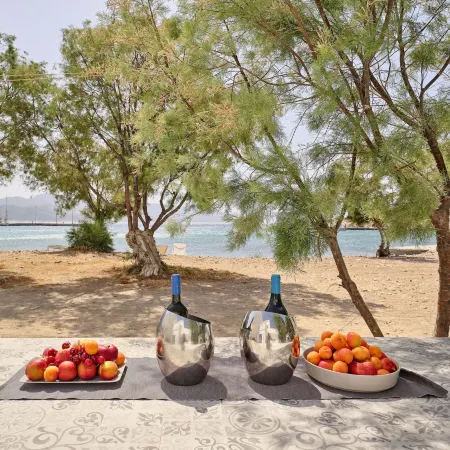 Psathi Beach House
