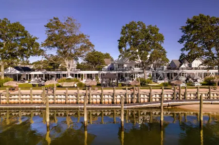 Aqua by American Beech - Adults Only