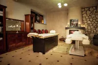 Zamek Dubiecko Hotels in Przemyski
