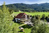 Royal Hotel Hinterhuber - Mountain view