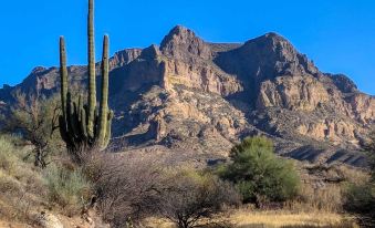 Charming Miami Desert Escape w/ Yard + Patio!