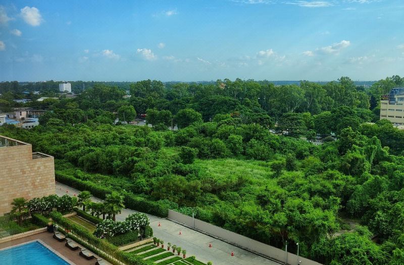 Hyatt Regency Chandigarh photo 4