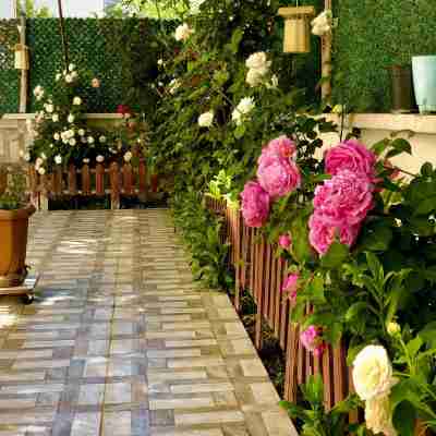 Kehribar Otel & Cafe Restaurant Hotel Exterior