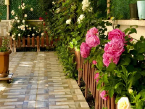 Kehribar Otel & Cafe Restaurant Hotels in Amasya