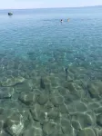 Assos Assinos