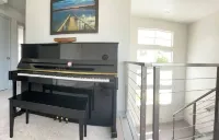 Brand New modern 3 story home with fenced in yard! Outdoor hot tub and firepit