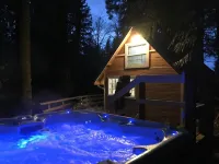 The Cornerstone Cabin - Mount Rainier