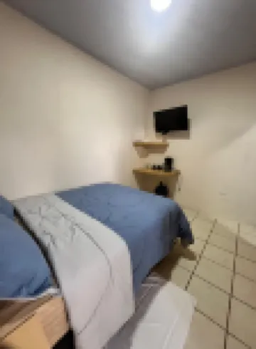 諾瑪達蒙特貝爾德