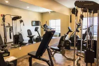 Cobblestone Hotel & Suites - Chippewa Falls - Kuntosalit